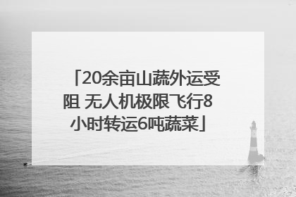 20余亩山蔬外运受阻 无人机极限飞行8小时转运6吨蔬菜